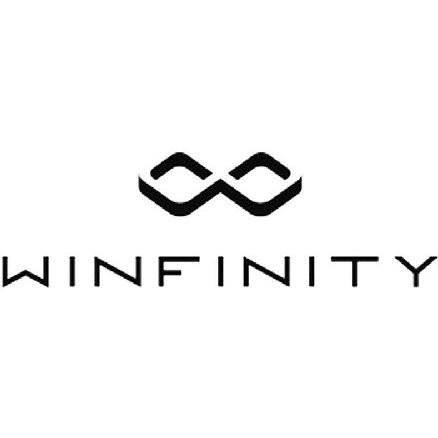 Winfinity logo